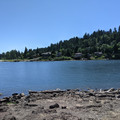 The Blue Willamette.jpg