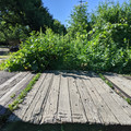 Disappearing tracks.jpg