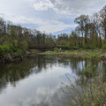 Bridge over the Chippewa.jpg
