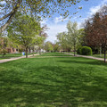 Paths at CMU.jpg
