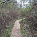 Plank path.jpg