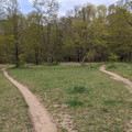 Trails.jpg
