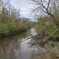 Up the Chippewa.jpg