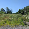 Essex station site 1.jpg