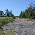 Essex station site 2.jpg