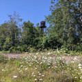 Essex station water tower.jpg