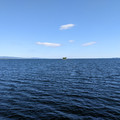Sloop Island.jpg