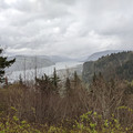 East from Chanticleer Point.jpg