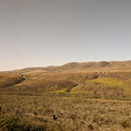 Hill country.jpg