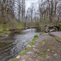 Multnomah Creek.jpg