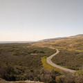 Road to the sea.jpg