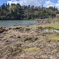 Tidal pools.jpg