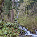 Wahkeena Falls.jpg