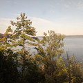 Trees and Lake Champlain.jpg