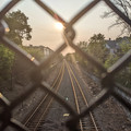 Sun through the mesh.jpg