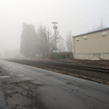 Forest Grove branch.jpg