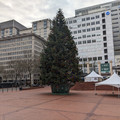 Pioneer Square.jpg
