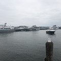 Boats.jpg