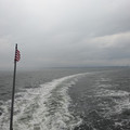 Connecticut in the fog.jpg