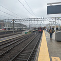 Metro-North at New Haven.jpg