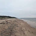 On the beach.jpg