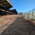 Old headhouse.jpg