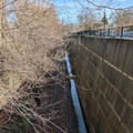 Amboy branch.jpg