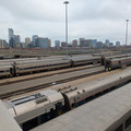 Busy yard.jpg