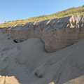 Sand dunes.jpg