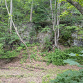 CNJ embankment.jpg