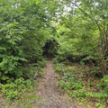 Out of service panorama.jpg