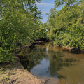 Red Cedar River.jpg