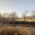 Casselman River.jpg