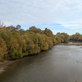 Olentangy River.jpg