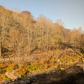 Wills Creek.jpg
