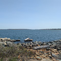 Gulf of Maine.jpg