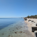 Looking back at the dock.jpg