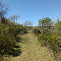 Orient Point County Park.jpg