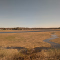 Scarborough Marsh.jpg