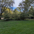 Central Park-2.jpg