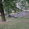 Central Park-3.jpg