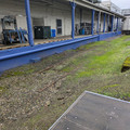 Disused tracks at Lieb Foods.jpg