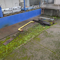 End of line at Lieb Foods.jpg