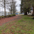 Forest Grove branch at Adams 1.jpg