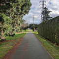 Green wall.jpg
