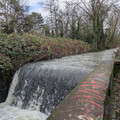 Johnson Creek flood control 1.jpg
