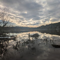 Low sun on the Willamette.jpg