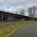 MAX through Robert Kronberg Park.jpg