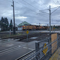 No crossing.jpg