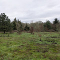 Robert Kronberg Park.jpg